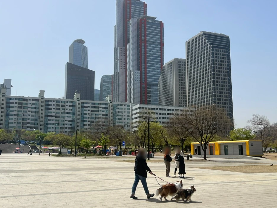 SE-1eebb655-1b4f-494f-83ce-bff8c29cd660.jpg?type=w1