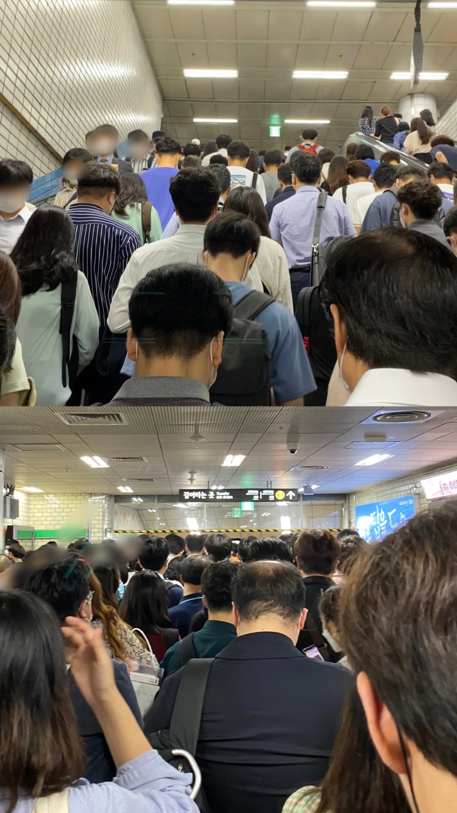 KakaoTalk_20200803_111444741.jpg?type=w1