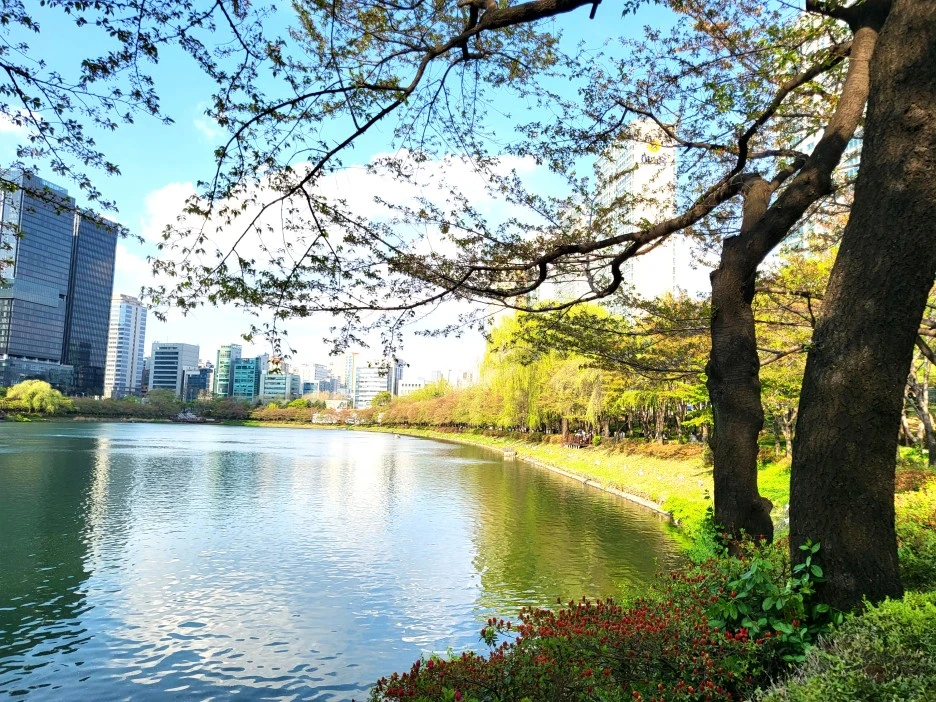 SE-ce1ef17e-827f-4835-94e7-9adb7729739b.jpg?type=w1