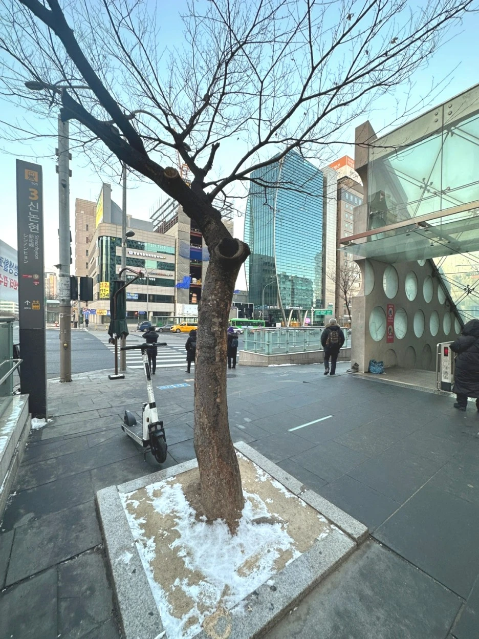 SE-e6138f19-06a0-40ae-a034-606b88c71ab9.jpg?type=w1