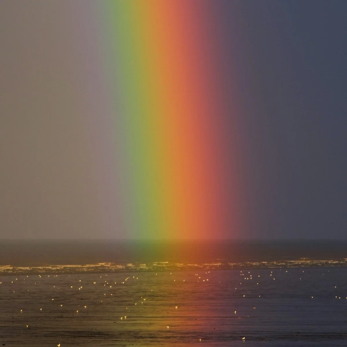 image_9062040701626740960335.jpg?type=w1200