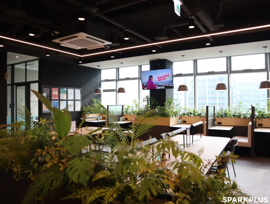 SE-8bfa0df5-4ea3-4dd0-aa4a-abe1fe727035.jpg?type=w1