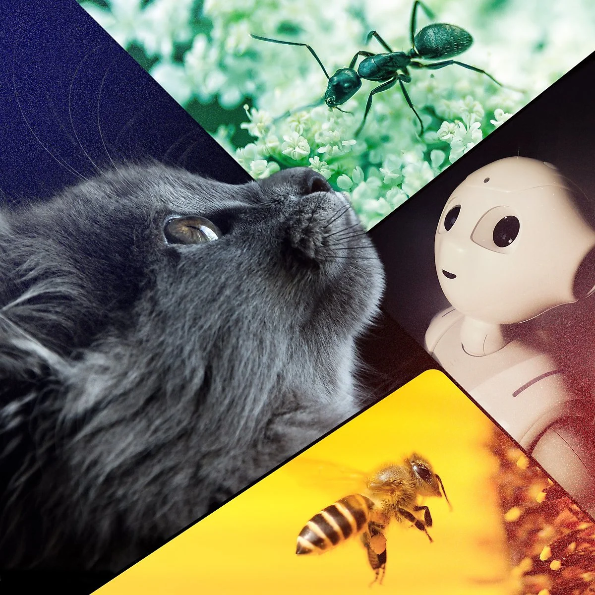 %EC%82%AC%EC%A7%843.jpg?type=w1200