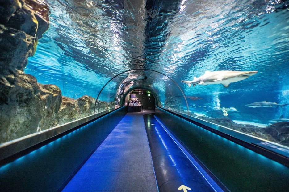 6._%EC%BD%94%EC%97%91%EC%8A%A4.jpg?type=w1