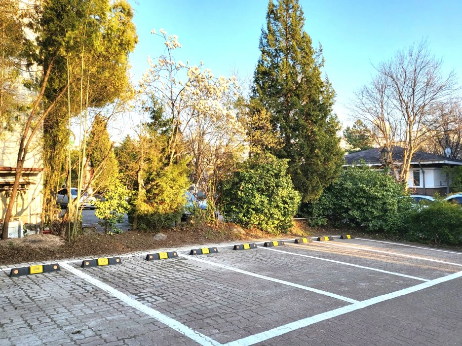 SE-590d982e-5713-4068-a22e-2b06e15f9bf7.jpg?type=w1