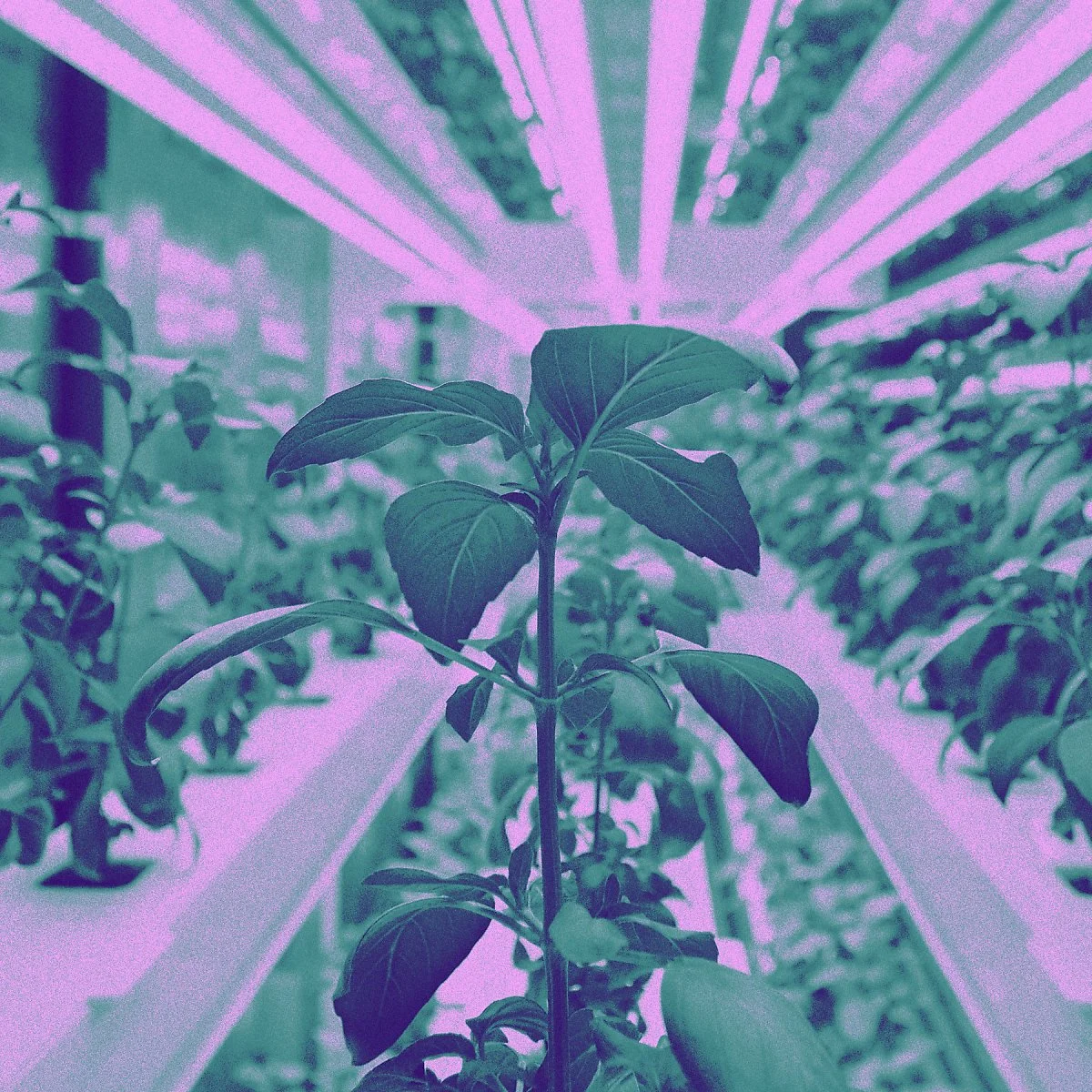 %EC%82%AC%EC%A7%841.jpg?type=w1200