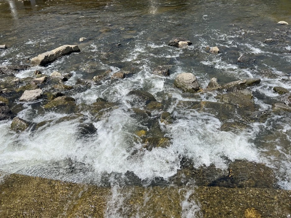 KakaoTalk_20230517_173428914_03.jpg?type=w1