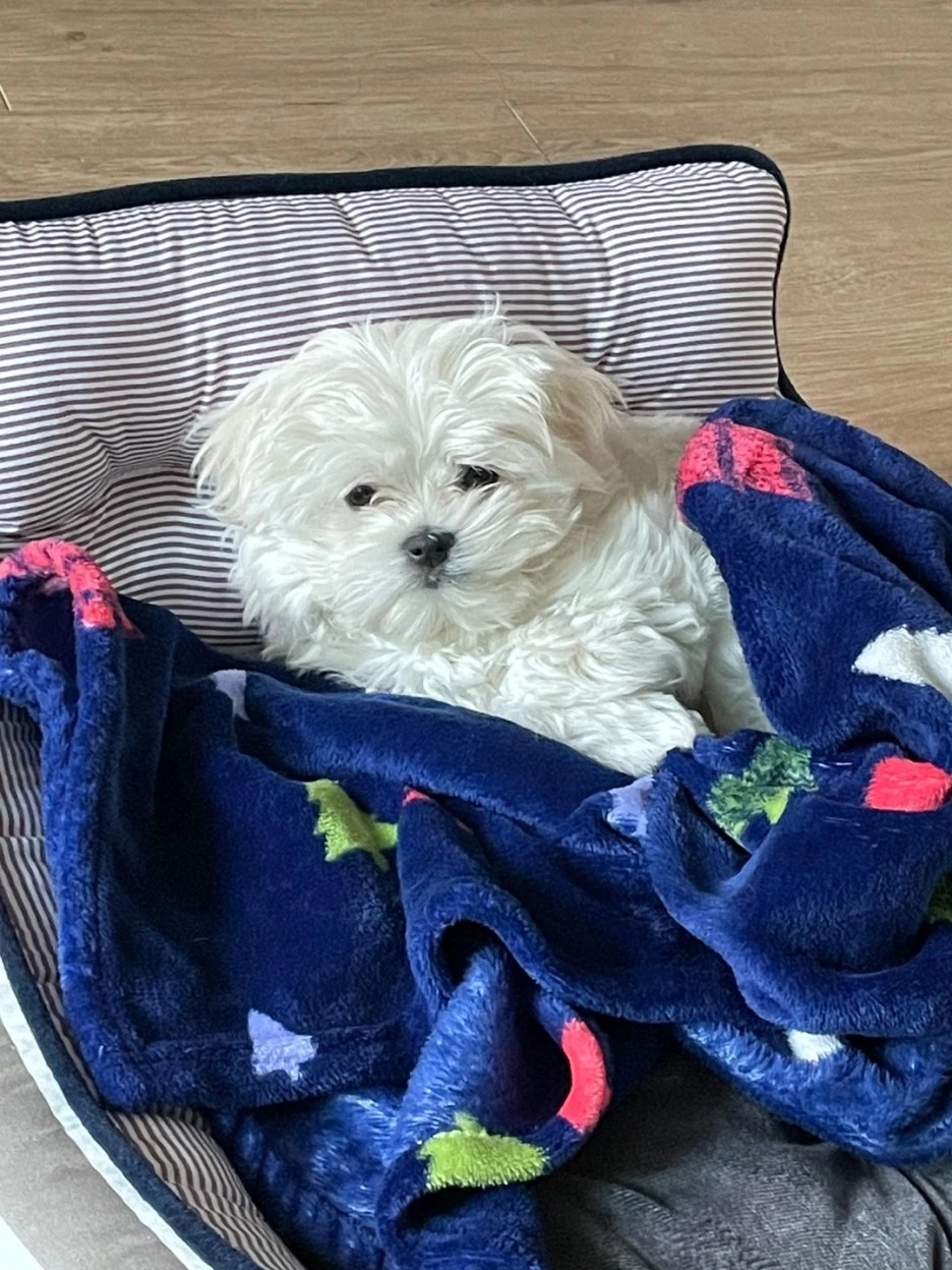 3AFFD9B7-9B40-42F5-8F57-B08417792CDE_-_%EC%84%B8%EB%A6%AC%EB%B0%95_(1).jpeg?type=w1