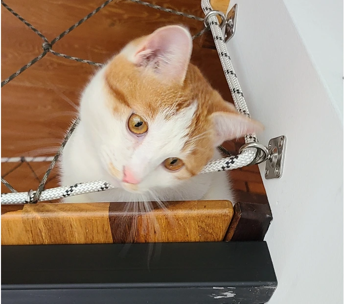 AD_4nXewqQTF47oNANBSnGdpsI1_AmIjV2ul40uv-0KqtCbMZk-iReG8IGfpZXtEghPMiMSgMZwNinUNJzb6vXo6Co7VfjgYRZk7vkfpfQ5mFkhREqGELJS9MJTDltFJ3UtFgrxFu5t9TQ?key=w9w4Eh5XspJXLJFJbKOWUQ