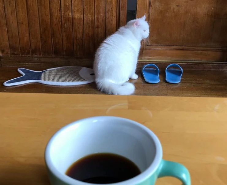 AD_4nXdXyPc-UQ1886YIXLIPvpYYVhKTO5K9gYEb00g2_-aVDDUDBj-PuBNDXboFPZVMhwFq9wgGTlRh3ZbxEjlh3oFa_lr_4j1-P7vdPFAqjsWylQ7DaqMVcNyxRs-nH7ePUtjhc5cLgrExTYJjHXR-UVLawxpq?key=9U-IsRiaZldbIf51IhuUOg