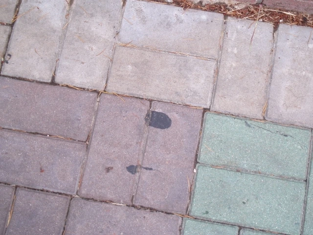 ○▶Love♡Book◀○[38] - 껌 -.JPG