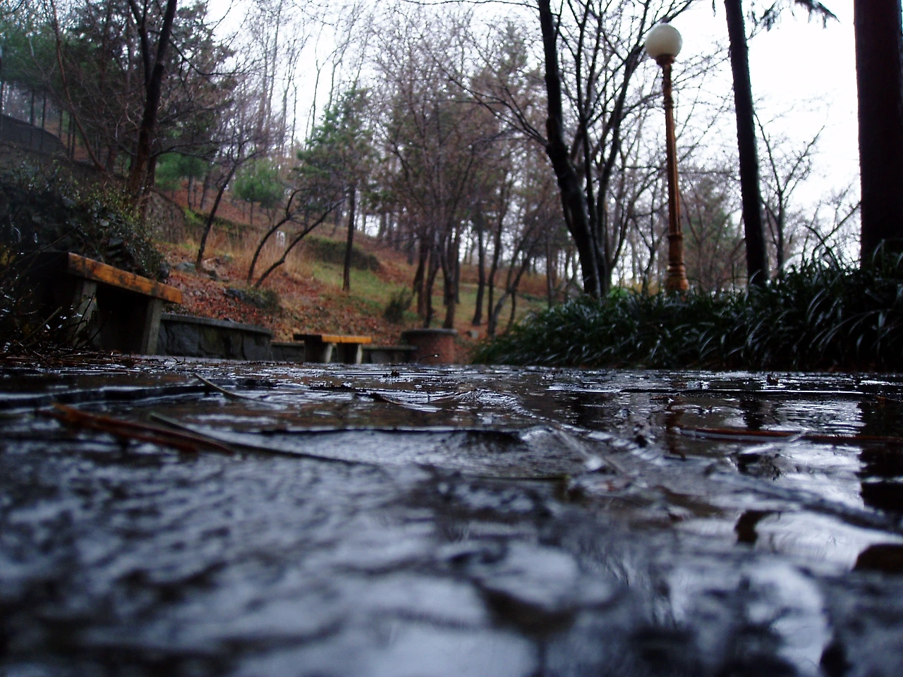 ○▶Love♡Book◀○[36] - 지렁이 -.JPG