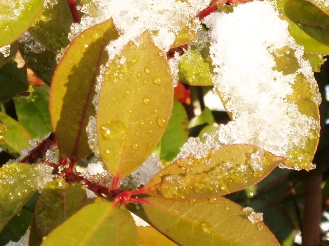 ○▶Love♡Book◀○[17] -순수사랑-.JPG