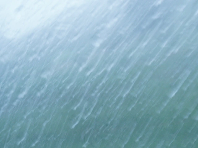 ○▶Love♡Book◀○[121] - 여름 -.JPG