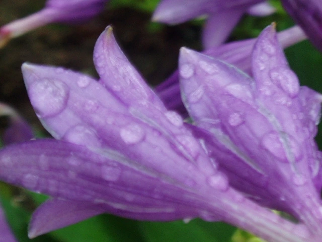 ○▶Love♡Book◀○[115] - 사랑에 빠지면 -.JPG