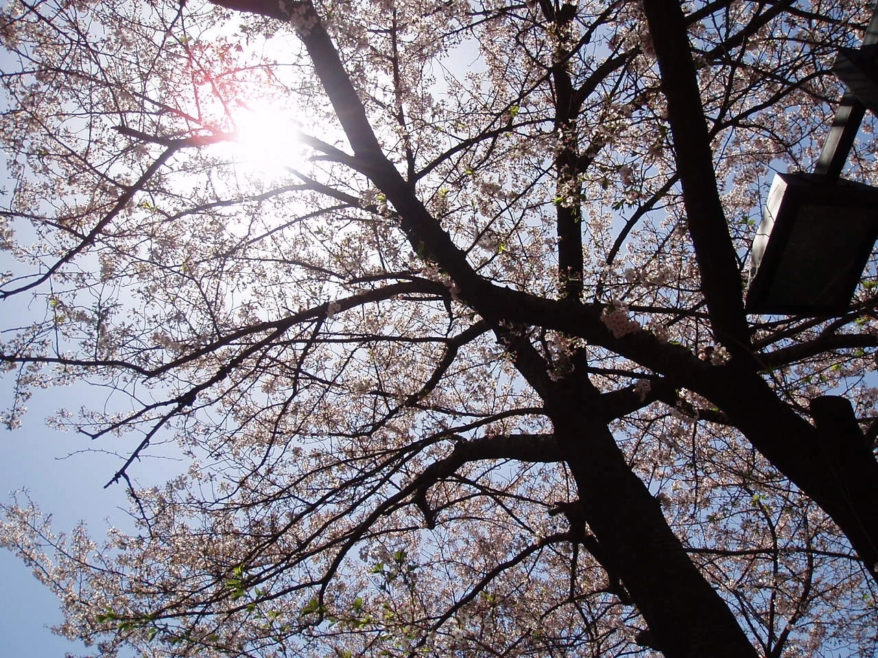 ○▶Love♡Book◀○[176] - 할 수 있는건 -.jpg.JPG