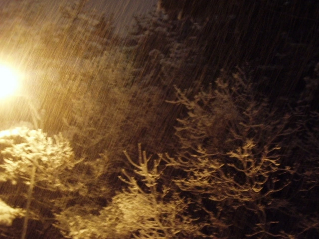 ○▶Love♡Book◀○[154] -하얀별들이 쏟아지다-.JPG