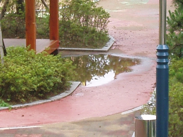 ○▶Love♡Book◀○[113] - 눈물이 남았어-.JPG