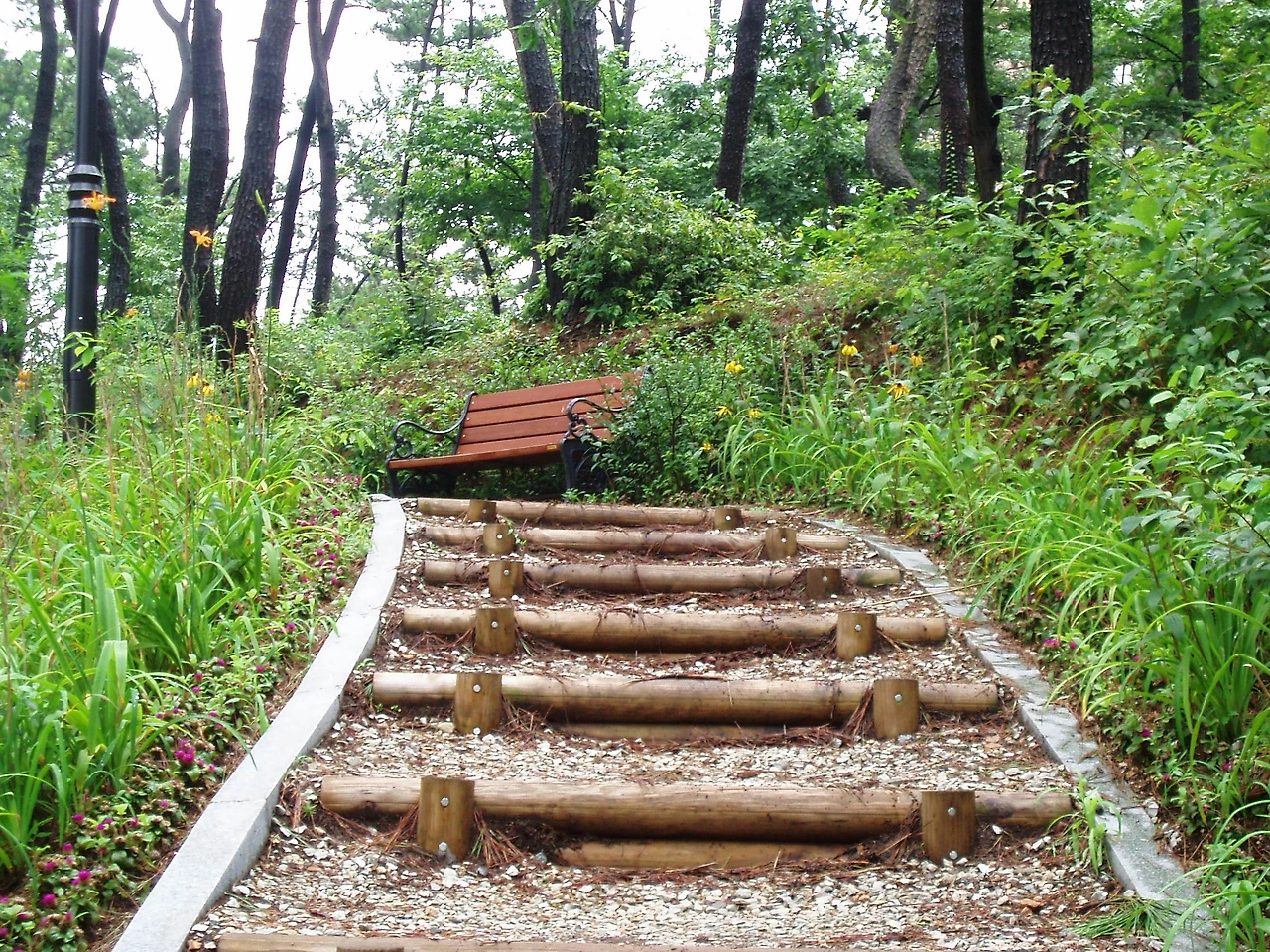 LoveBook♡[206] -국화꽃 향기.JPG