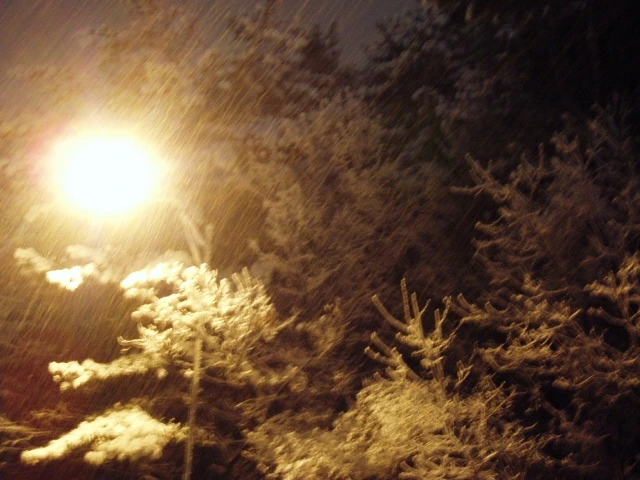 ○▶Love♡Book◀○[47] - 지갑 -.JPG