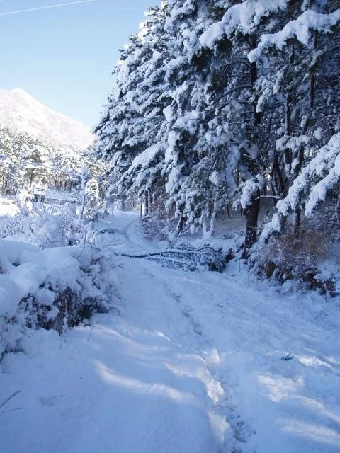 ○▶Love♡Book◀○[51] - 어린아이처럼 -.JPG