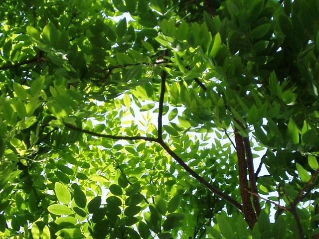 ○▶Love♡Book◀○[77] - 사계절 -.JPG