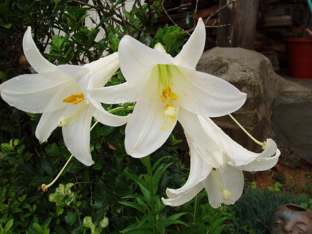 ○▶Love♡Book◀○[16] -The Kiss-.JPG