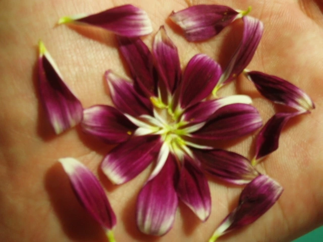 ○▶Love♡Book◀○[119] - 내가 잡아야 하는 손인가 -.JPG