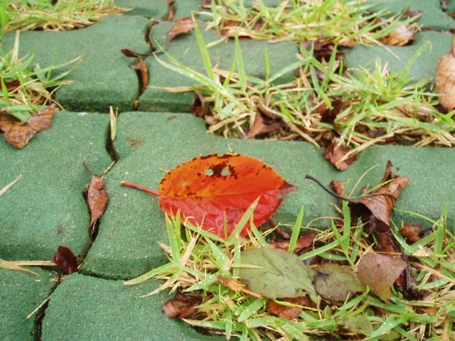 ○▶Love♡Book◀○[139] - 좋은 추억 -.JPG