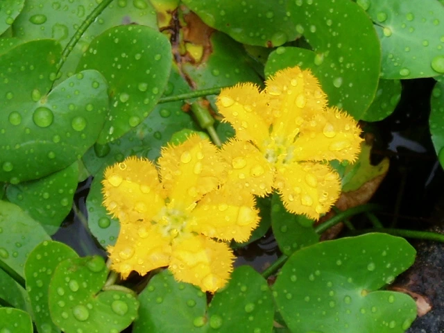 ○▶Love♡Book◀○[118] - 눈 -.JPG