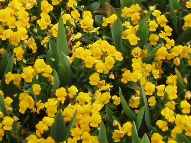 ○▶Love♡Book◀○[124] - 사랑한만큼 잊을께 -.JPG