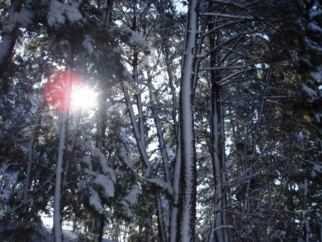 ○▶Love♡Book◀○[97] - 악몽 -.JPG