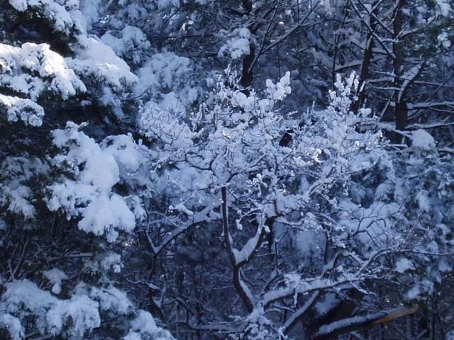 ○▶Love♡Book◀○[74] - 웃고 있구나 -.JPG