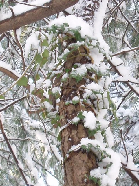 ○▶Love♡Book◀○[18] -시간이 있어서...-.JPG