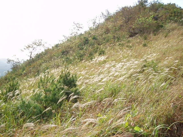 ○▶Love♡Book◀○[136] - 어쩔 수 없나 봅니다 - .JPG