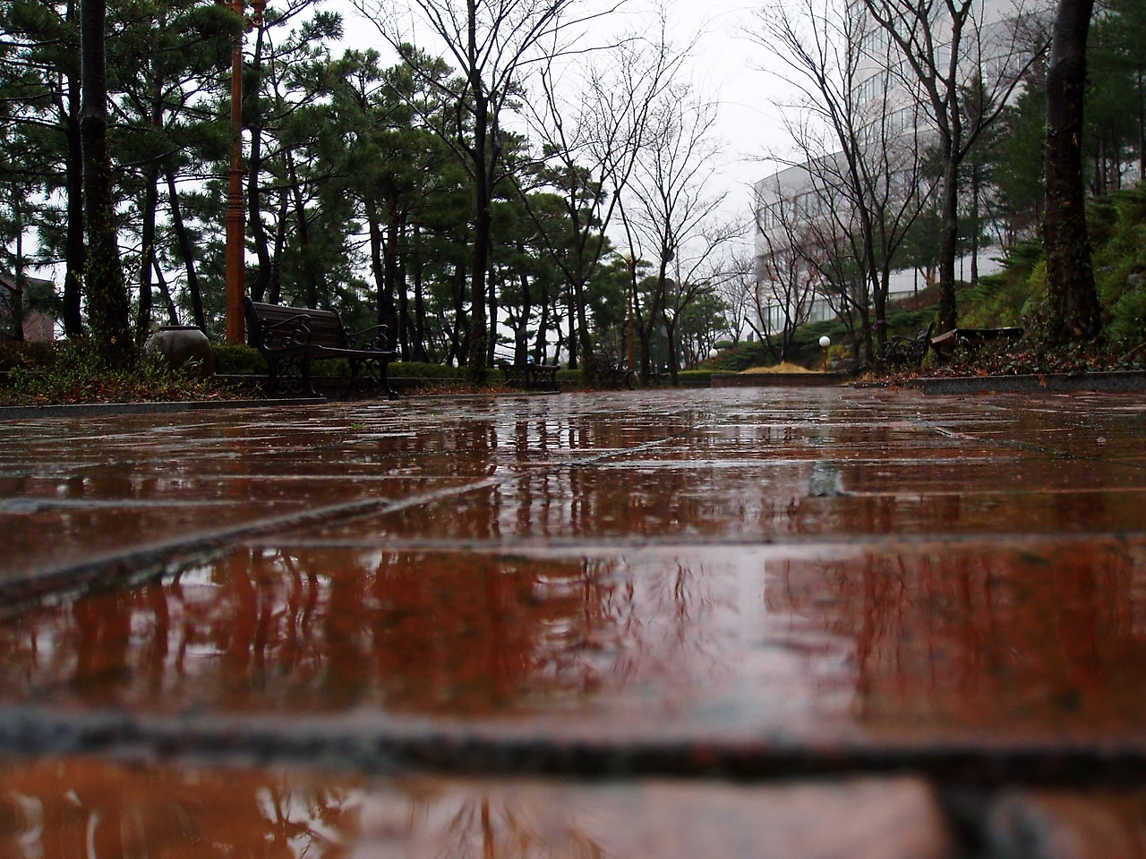 ○▶Love♡Book◀○[181] - 비에 맡기다 -.JPG