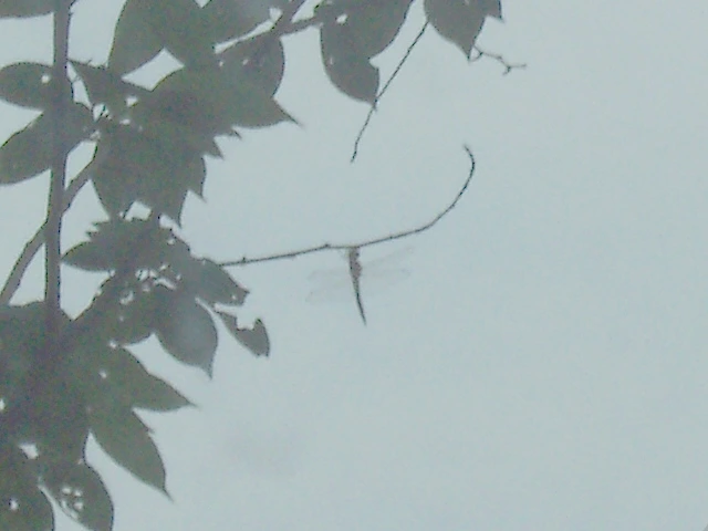 ○▶Love♡Book◀○[24] - 잠자리 -.JPG