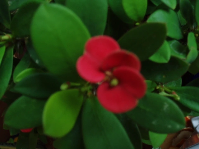 ○▶Love♡Book◀○[150] -양치기소년-.JPG