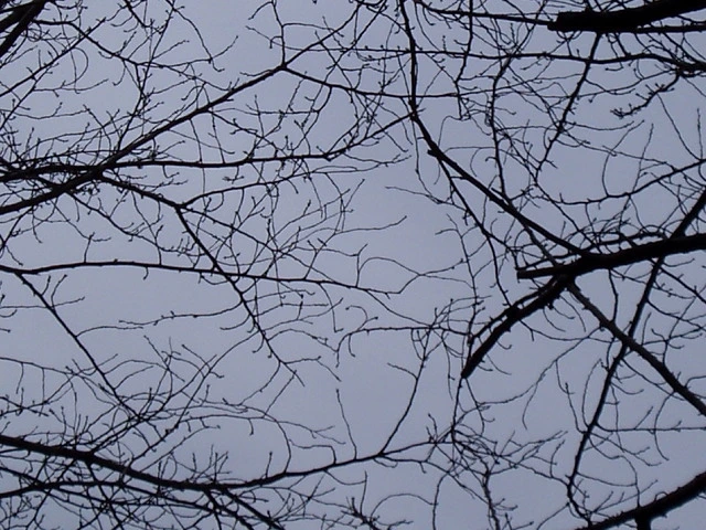 ○▶Love♡Book◀○[68] - 오늘의 날씨 -.JPG