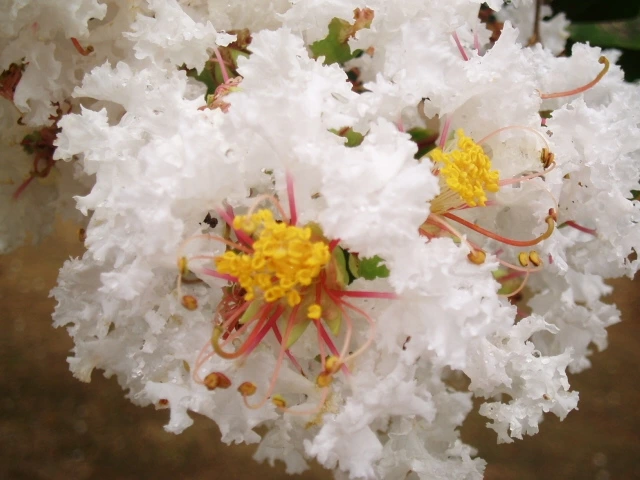 ○▶Love♡Book◀○[156] -날씨는 변해도 계절은 변하지 않는다.-.JPG