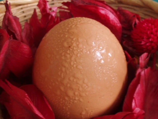 ○▶Love♡Book◀○[22] - egg -.JPG