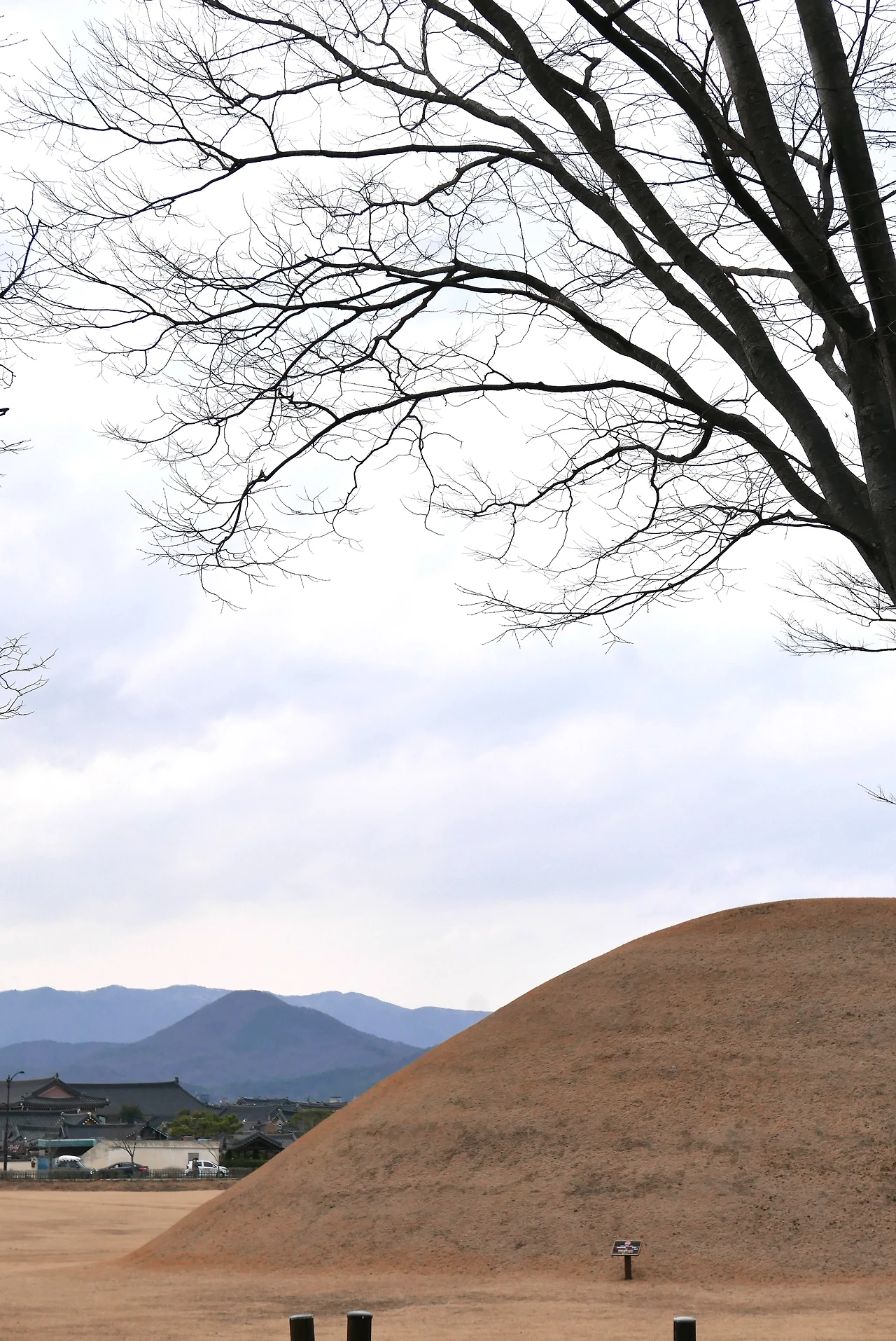 저 멀리 경주 남산과 월성지구 왕릉.JPG