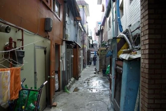 %C2%CA%B9%E6.jpg?type=w3