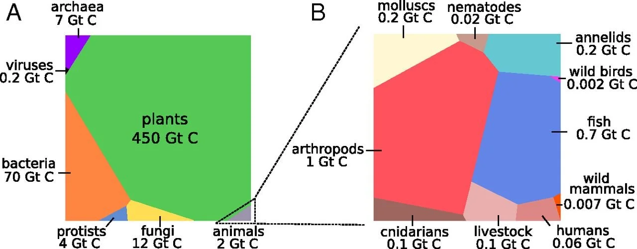 pnas.1711842115fig01.jpeg
