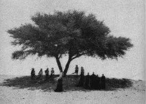 Screenshot 2025-04-06 at 14.06.56.JPG