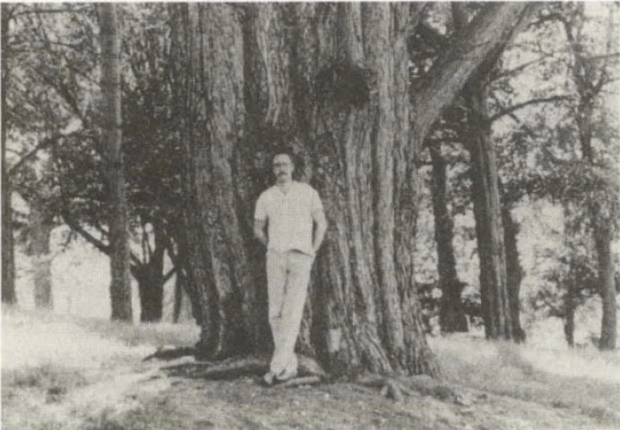 Screenshot 2025-04-06 at 01.09.05.JPG