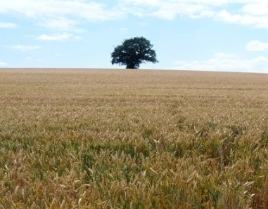 Screenshot 2025-05-04 at 17.21.59.JPG