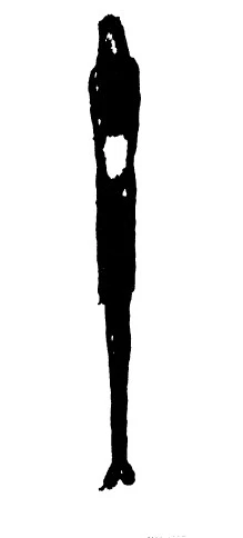 Screenshot 2025-03-25 at 21.16.11.JPG