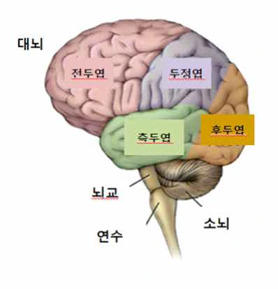 image.png?type=w1200