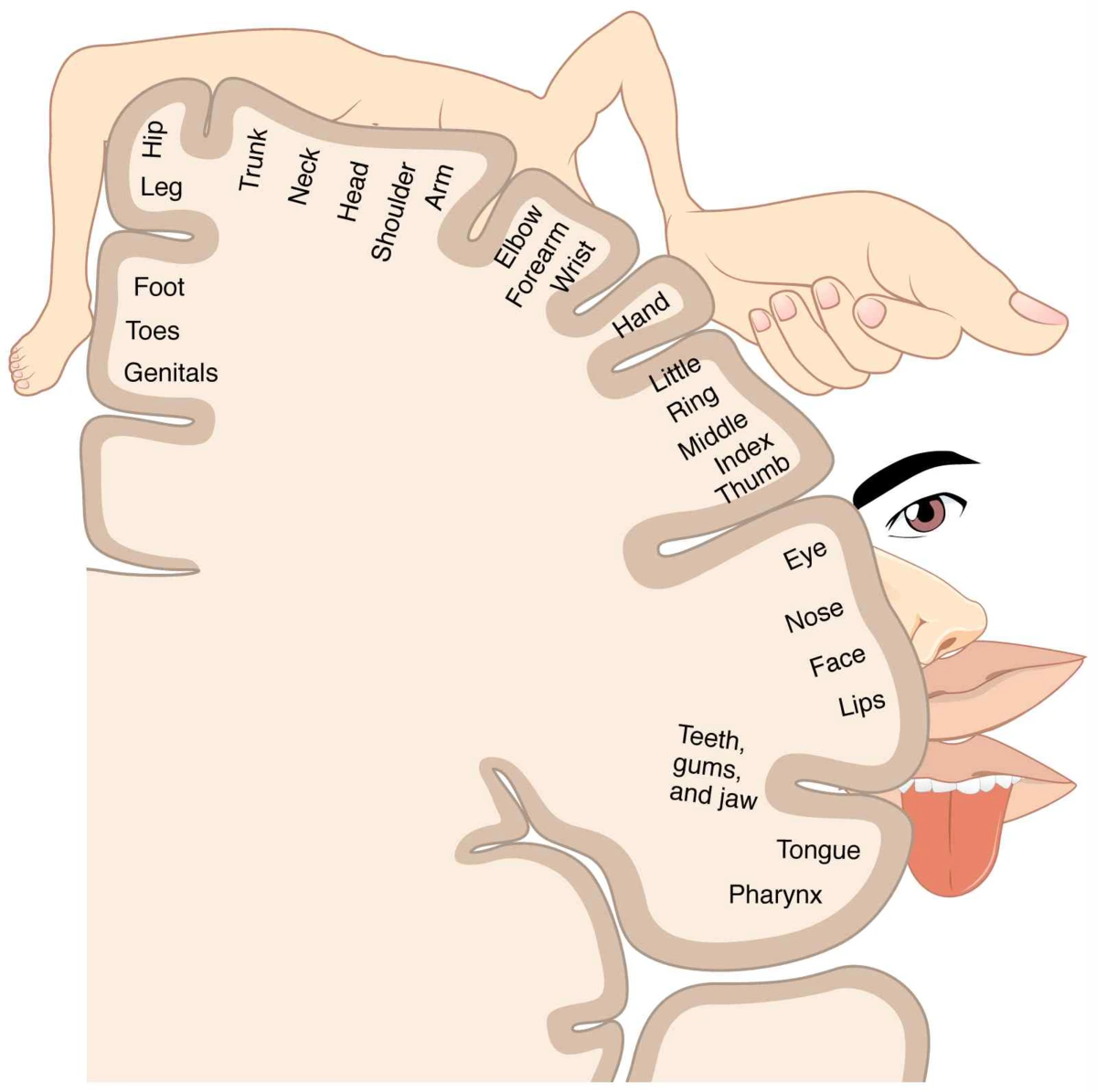 image.png?type=w1200